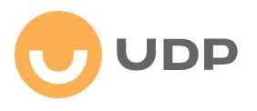 UDP Logo